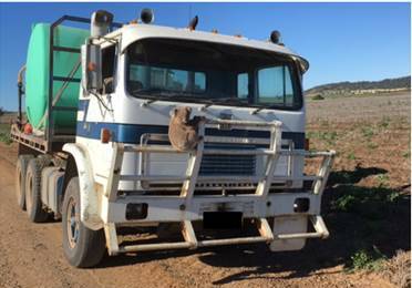 The picture of the koala looking for a tree was taken last November near Gunnedah in the state’s north – a town dubbed the koala capital of the world. But 25 per cent of Gunnedah’s koalas died during the heat waves of 2009 as they struggled to find water and sufficient shade.