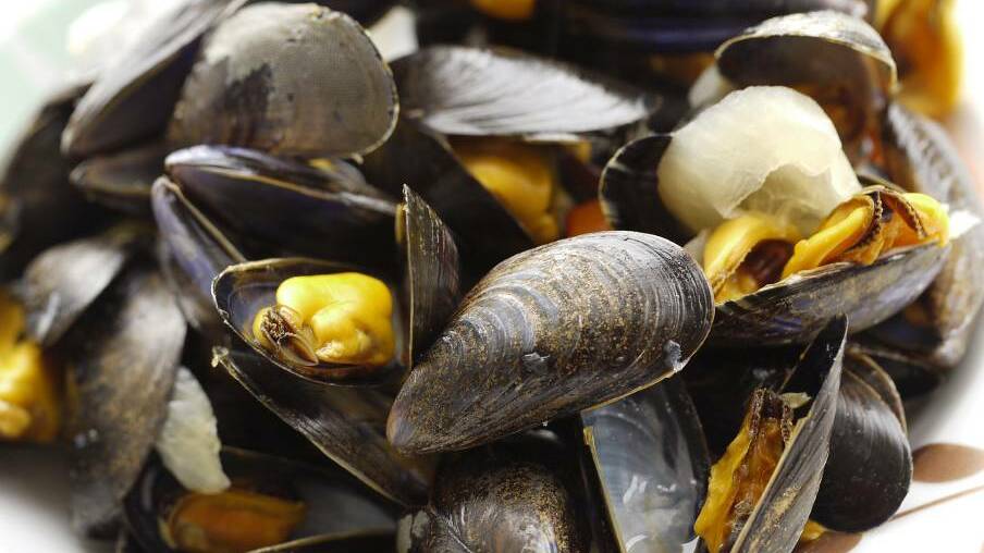 Toxic shellfish warning continues for Eden’s Twofold Bay