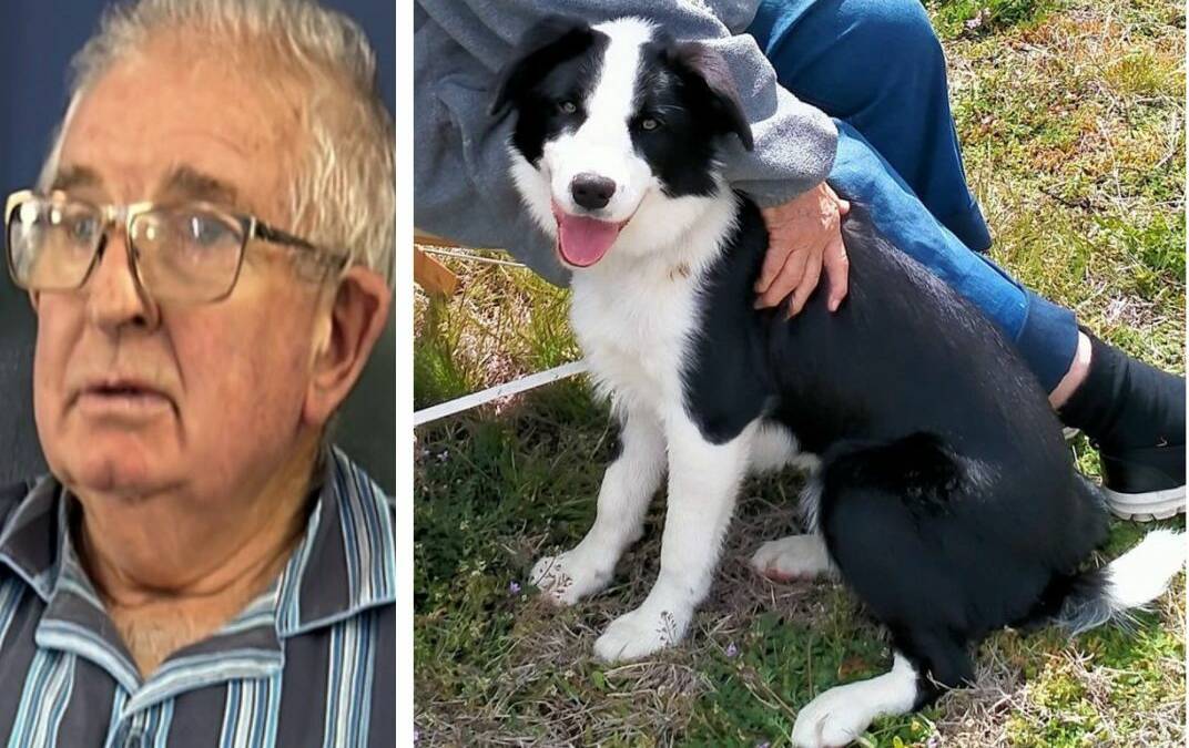 John Locker was last seen in Cooma on Monday, April 29, and is believed to be with his dog Sophie. Pictures supplied by NSW Police