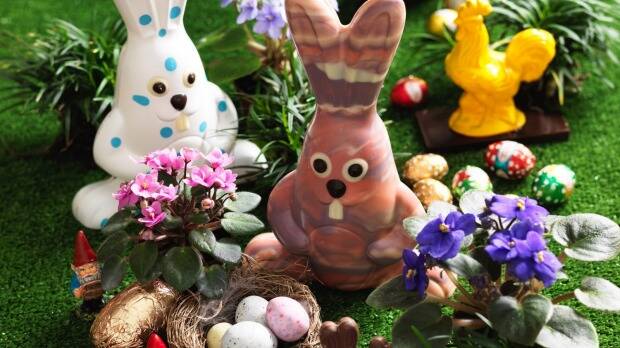 Rabbit season: it's time for the Good Food Easter egg taste test. Photo: William Meppem
