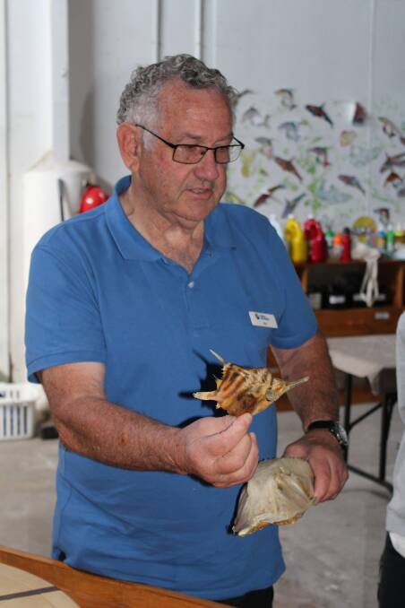Hands on marine: Sapphire Coast Marine Discovery Centre volunteer, Alan Scrymgeour, shows visitors dried fish specimens as part of his talk on Monday, September 28. Photo: Toni Houston