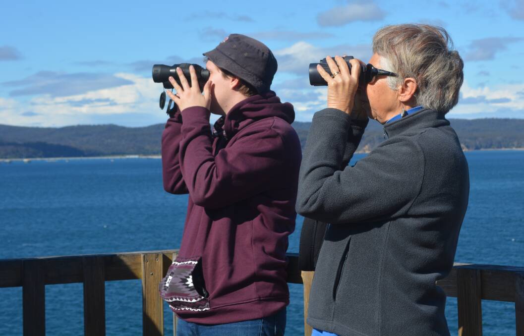 Whale watching: Sapphire Coast Marine Discovery Centre staff member Cameron Shanks and SCMDC volunteer Di Whittock watching the whales at Eden's Rotary Park, Thursday August 25. Picture: Kerryn Wood