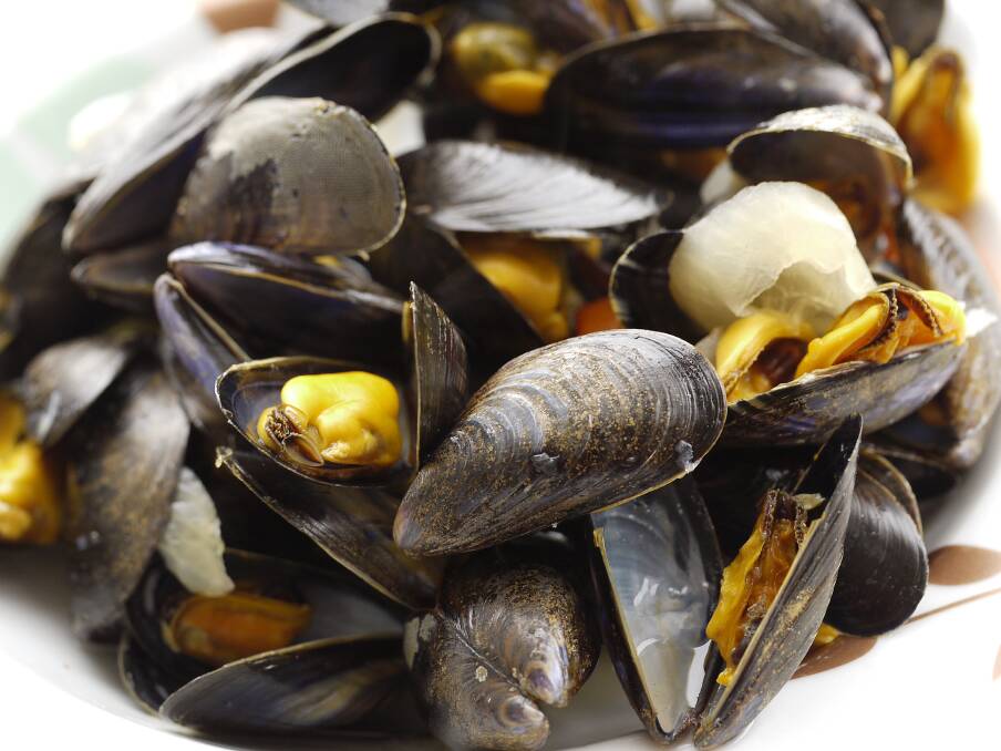 Department of Primary Industries caution public to not consume shellfish collected in Eden's Twofold Bay after testing reveals the presence of paralytic shellfish poisoning, following algal bloom.