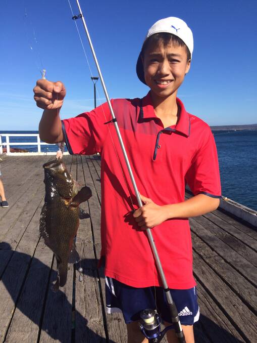 Boots 'n' all: Victorian visitor Lewei Cai shows a large Eastern Wirrah (Old Boot) caught from the Merimbula Fishing Platform.
