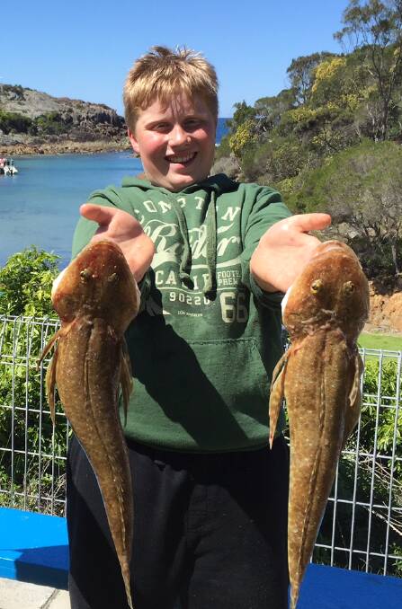 Delighted winner: Connor Sloan shows off his catch as one of the junior entrants in the Tathra Amateur Fishing Club's competition at Kianinny recently.