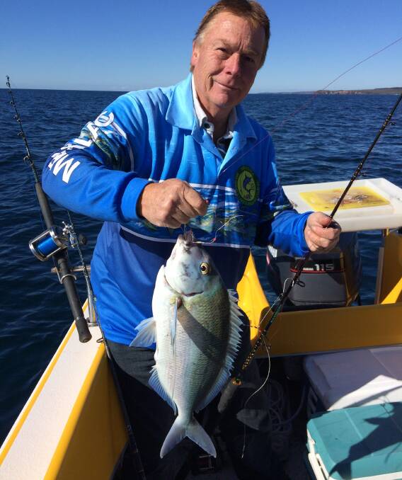 Excellent catch: Mirador angler Tim McConnachie shows a lovely morwong taken east of Eden. Snapper and morwong are on the bite.