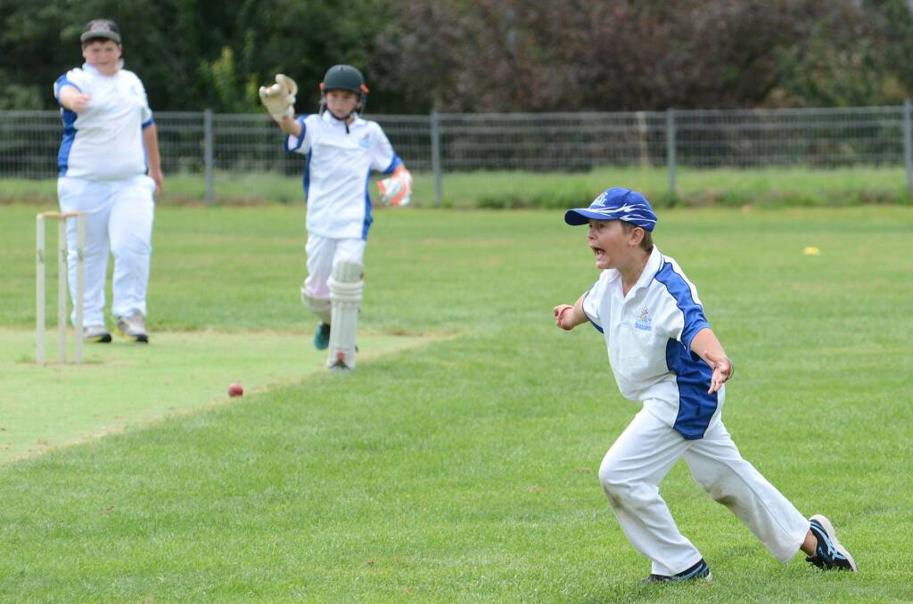 Howzat: Eden's Joey Elton appeals a call during the under 12s game of the Griffin-Treloar Cup, which was retained by the FSC over the weekend. 