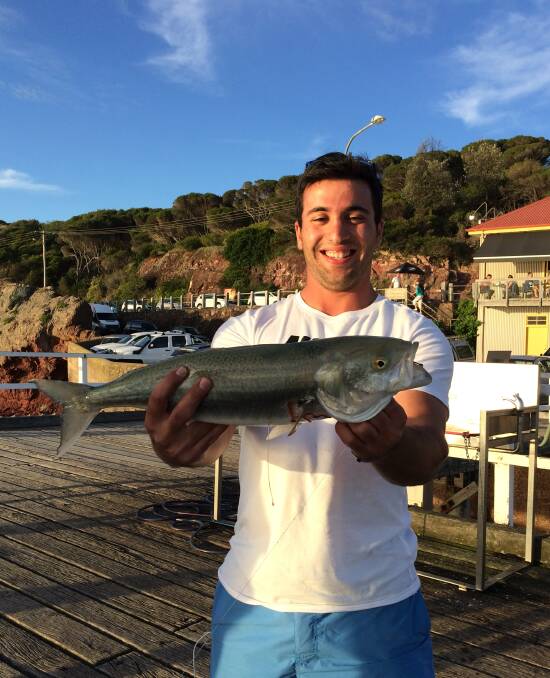 Beaming: Anthony Benjamin visiting from Tumut in NSW shows his lovely Australian salmon taken from the Merimbula wharf.
