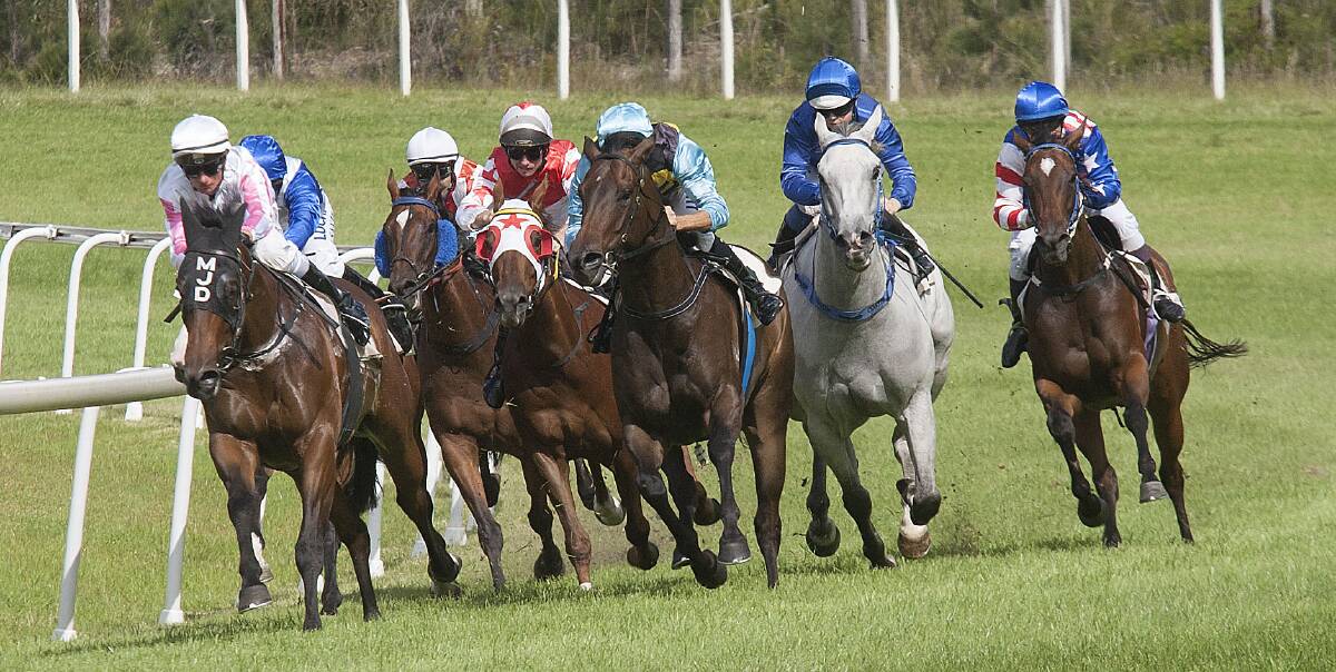 Tight grouping: The pack curls around the final bend at the Sapphire Turf Club during Boxing Day racing last year with the club expecting a strong turnout for Monday's five-race card. 