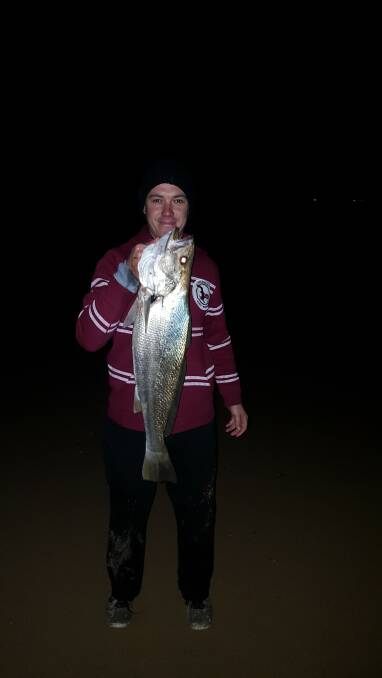Keen angler Troy Swann caught this great winter jewfish or mulloway weighed in at 8.5kg and measuring 85cm on a cold Saturday night off the beach at East Corrimal beach. 