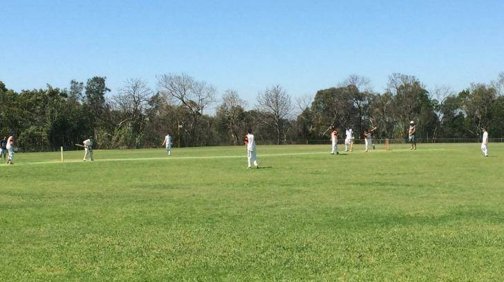 Cricket Australia is encouraging junior cricketers to play this weekend