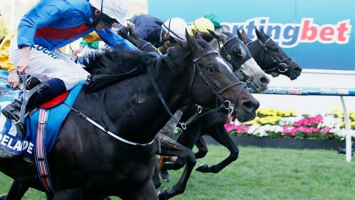 Three-for-all: Adelaide pips Fawkner and a wall of horses in a thrilling finish. Photo: Darrian Traynor