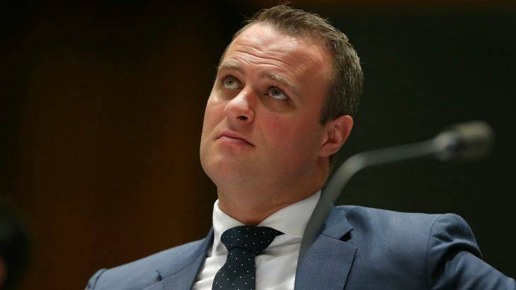 Human Rights Commissioner Tim Wilson during the hearing. Photo: Alex Ellinghausen