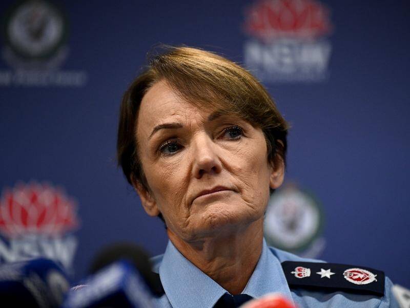 NSW Police Commissioner Karen Webb had faced questions about Steve Jackson's appointment. (Dan Himbrechts/AAP PHOTOS)