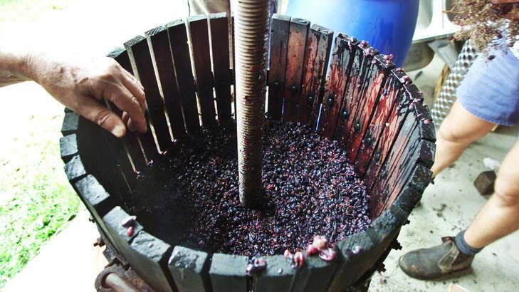 DIY job: Home-made wine doesn't have to be catastrophic. Photo: Brendan Esposito