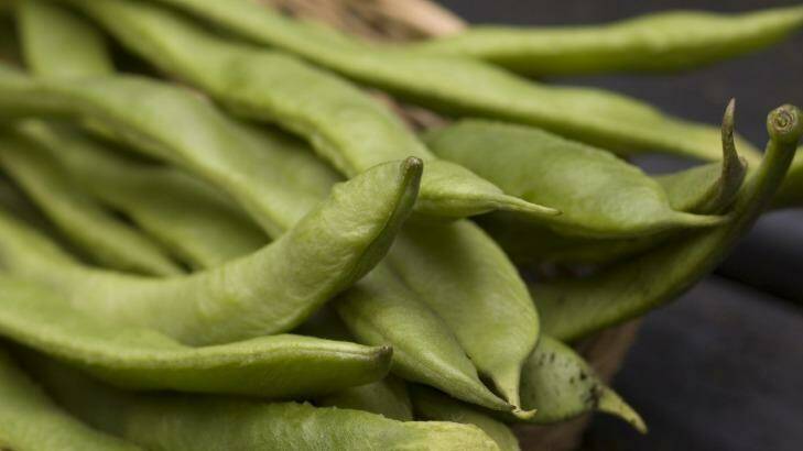 Full of beans: Beans are fast  and easy to grow.