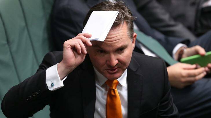 Chris Bowen raises a point of order with the Speaker during a division at Parliament House on Wednesday. Photo: Andrew Meares