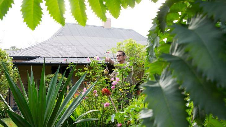 Todd Stark, head gardener at Sydney Living Museums. He's pictured at Elizabeth Farm in Rose Hill. Photo: Janie Barrett