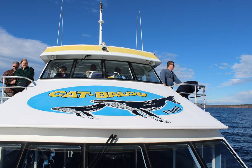 Discover Twofold Bay aboard Cat Balou.