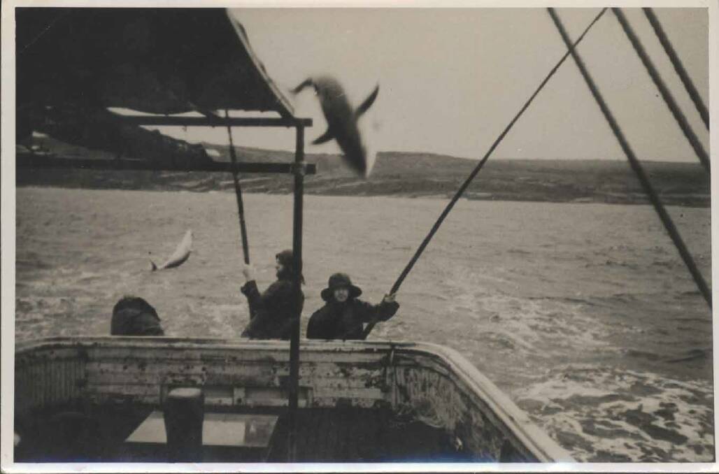 Tuna poling, unknown date
Photographer unknown
Eden Killer Whale Museum Collection