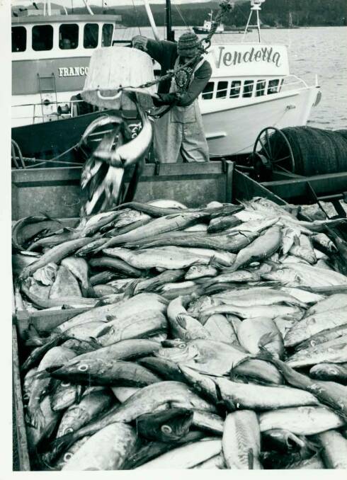 June 24, 1982: Some of the big catch of gemfish being unloaded on the long weekend. Fishermen say the bulk of the gemfish schools are now moved further up the coast away from Eden.