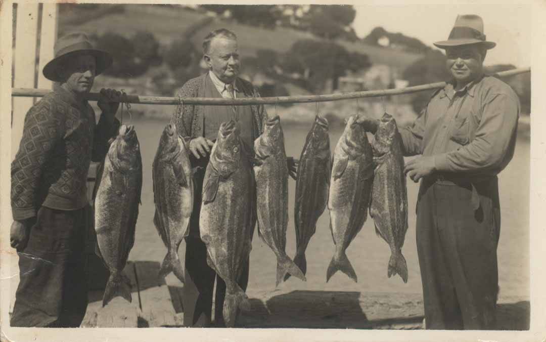 Postcard of Jack Warren, Mr Earngey (chemist) and Eden Cole with trumpeter caught off Eden, 1937
Eden Killer Whale Museum Collection.