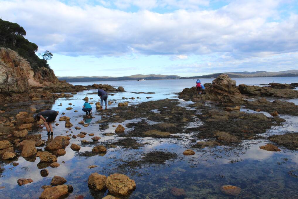 Eden Marine High School students will soon take to the rock pools of Shelly's Beach as part of a new Sapphire Marine Discovery Centre initiative.