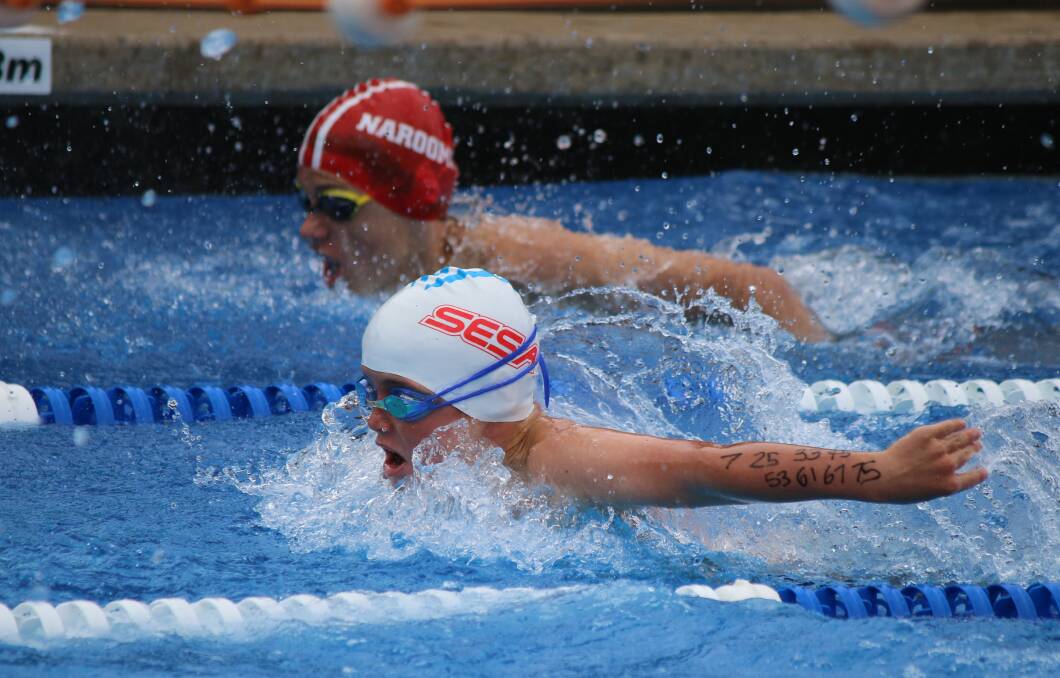 Eden’s Zak Kelly gets a head clear of Narooma swimmer Riley Miles during a butterfly race on Saturday.
