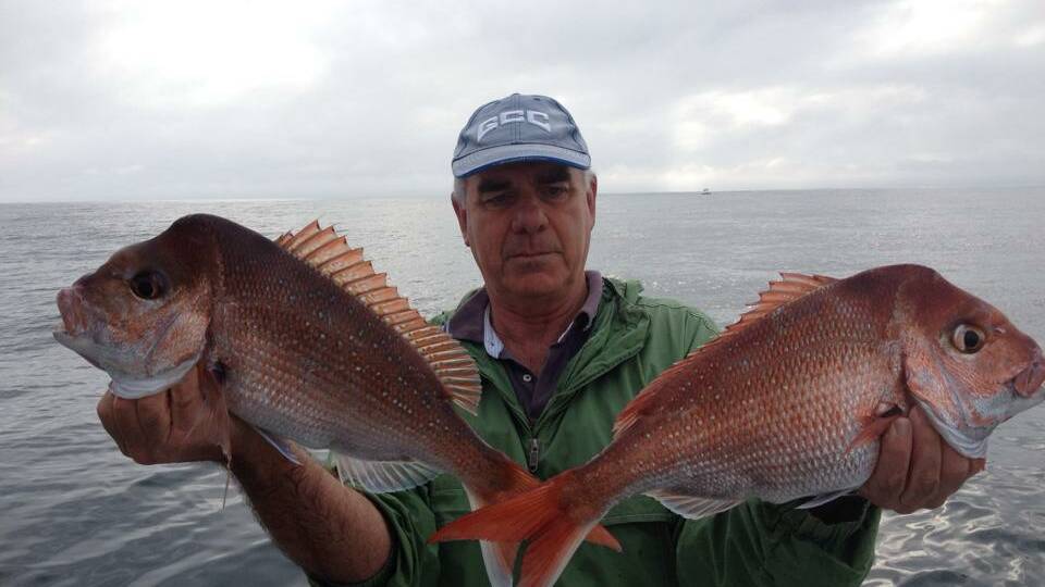 The catches from the Far South Coast for the weekend