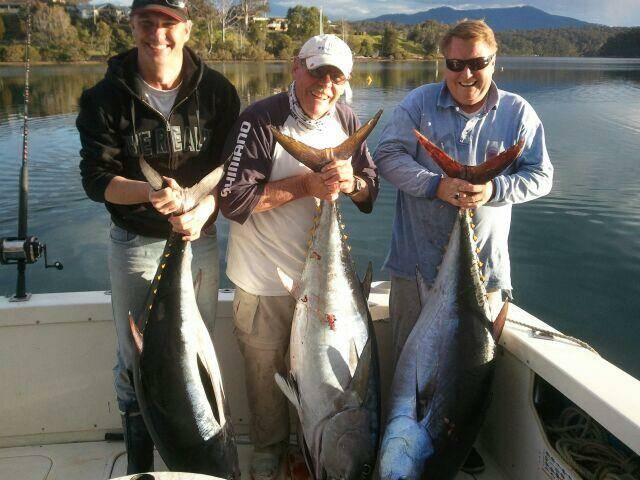 All the tuna catches made off Narooma and Bermagui in the past week...