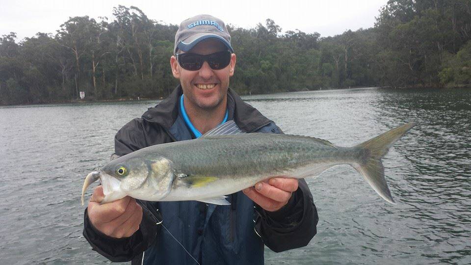 A selection of fishing catches from this week's Narooma News