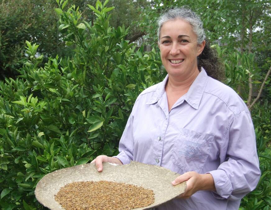 Seed saver and workshop facilitator, Julie Davies, with a tray of winnowed seed. 