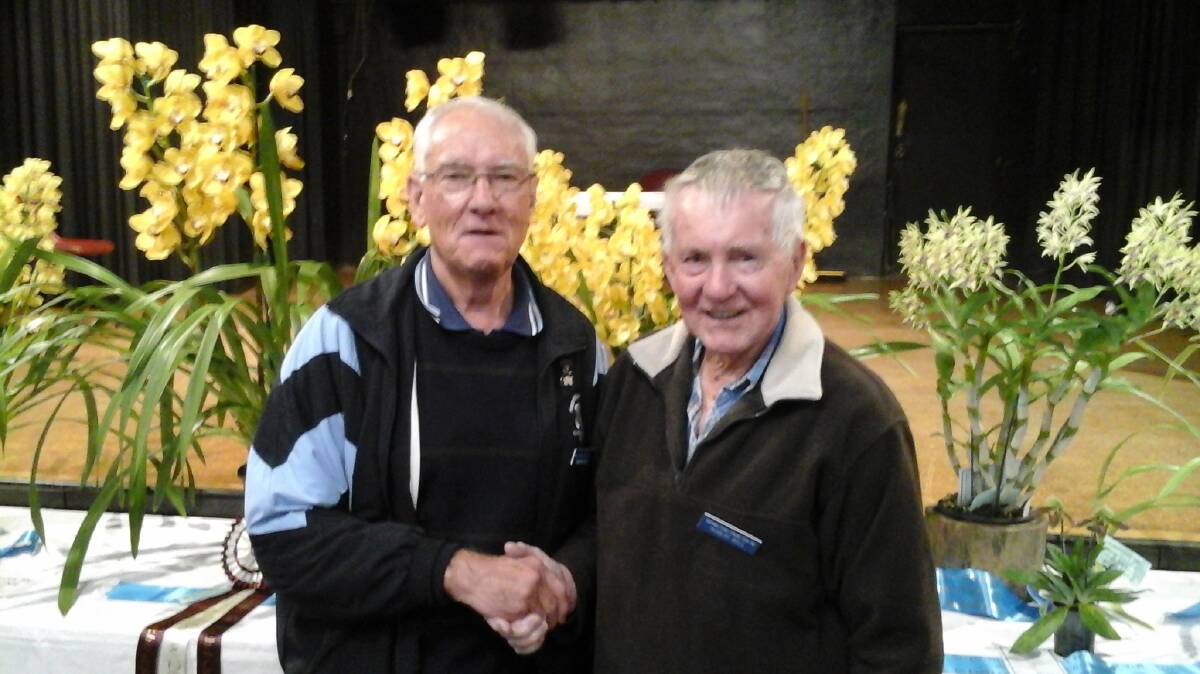Blooms: Eden's Bob Bell is congratulated for picking up grand champion orchid at the Sapphire Coast Orchid Club's annual winter show. 