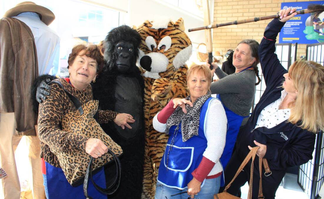 Look at moi: Merimbula Vinnies volunteers show off some of the fantastic animal and jungle themed clothes available at their store while holding back a gorilla and tiger. Picture: Melanie Leach
