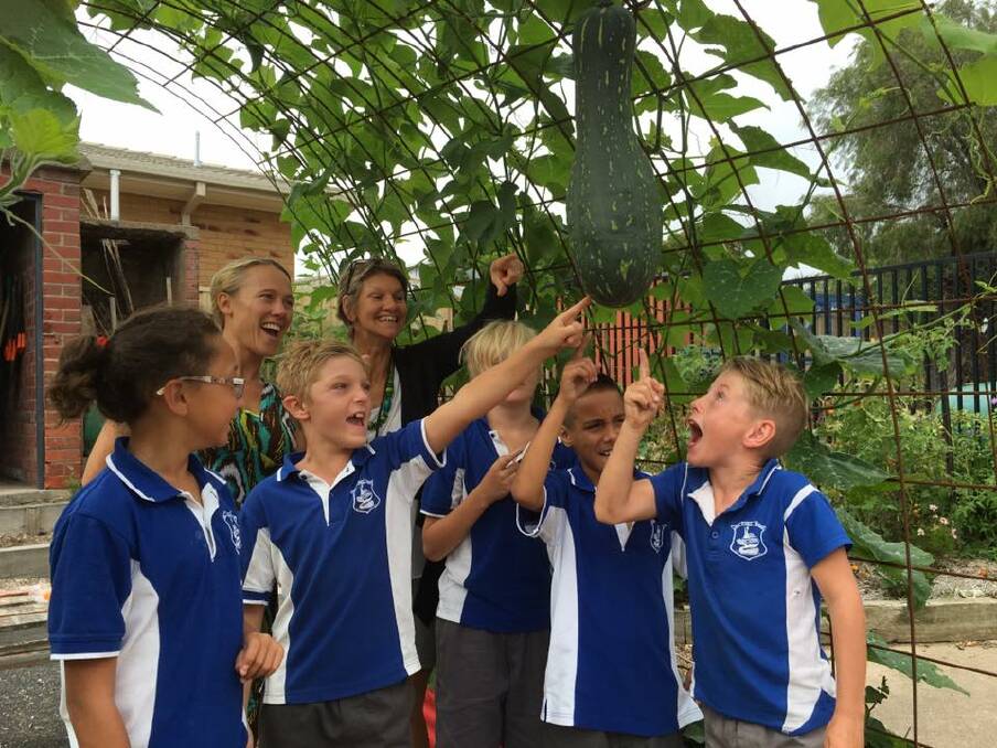 Eden Public School pupils in awe of a large pumpkin and zucchini hybrid which grew on the wire arch in the school's vegetable garden over the summer holidays. 