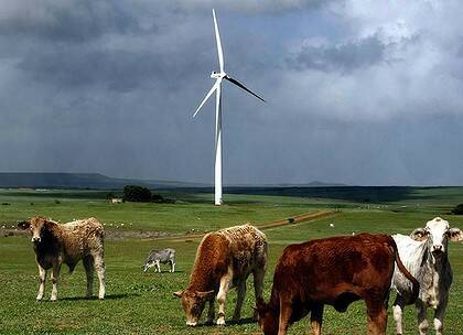 Blowing through ... wind farm lobbyists are fighting new guidelines.