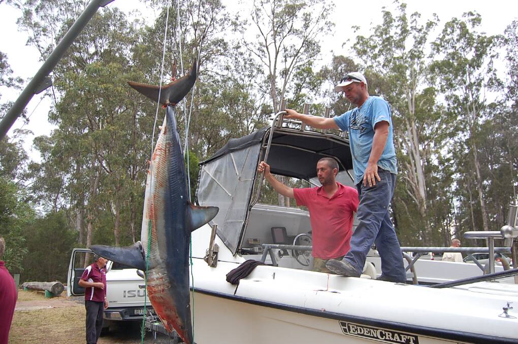 Daniel McNamara (left) reeled in this 80kg shark in his third Eden Amateur Fishing Club competition.