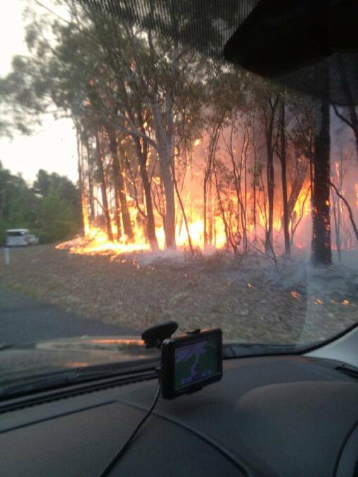 Animal rescue efforts are taking volunteers into dangerous fire zones in the Blue Mountains.