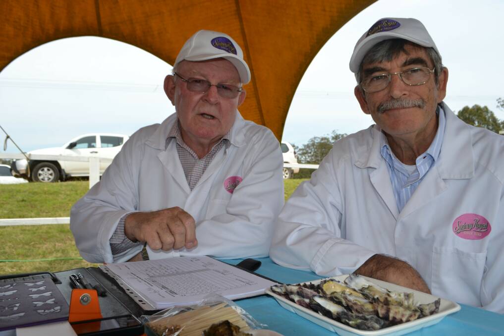 Oyster judges Gerry Anderson (left) and Roy Mills were impressed with the quality and quantity of oyster entries at Pambula Show.   