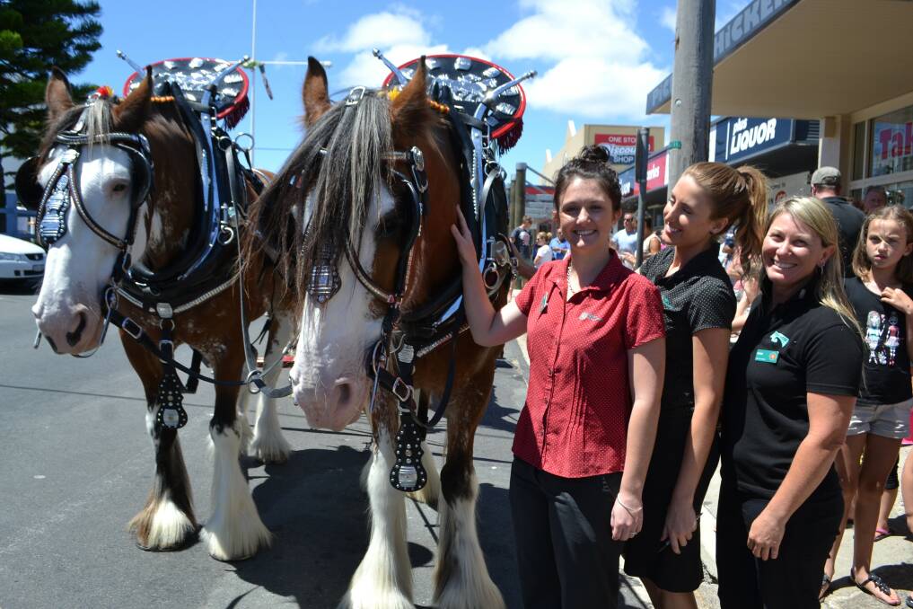 Is there anything better than coming across the Carlton Clydesdales on your morning's stroll? Yes, patting one!