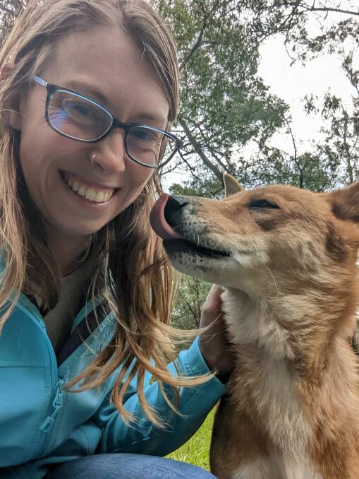 One of Potoroo Palace's carers Demi and Nahla the female Dingo brought down to the South Coast from Northern Queensland. Photo supplied. 