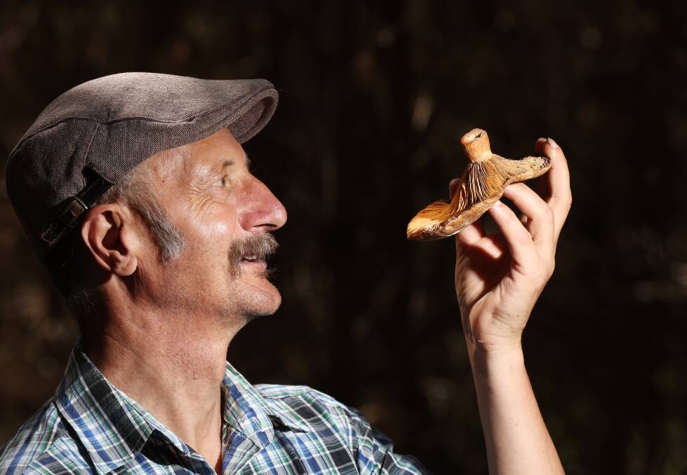 Meet Diego Bonetto experienced forager and environmental educator who takes people on tours to learn about edible mushrooms. Picture by Robert Peet. 