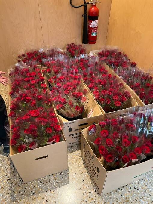 480 single wrapped red roses by The Little Bouquet were delivered around the Bega Valley, mostly in Eden on Valentine's Day. Picture supplied. 