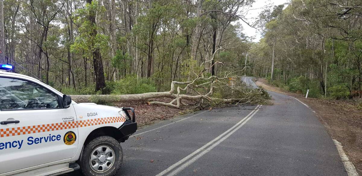 The SES responds to a fallen tree on Tathra Bermagui Rd at Mogareeka following storms on May 11 and 12. Photo supplied.