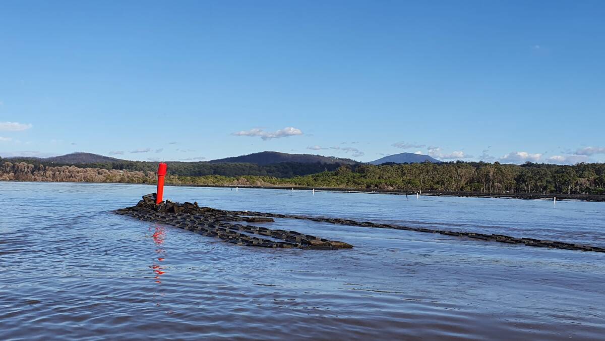 Floating oyster bags wrapped around a channel marker towards the entrance of Wonboyn Lake. Photo: Caroline Henry. 