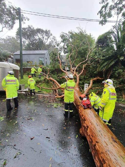 NSW RFS Crews assisting to remove fallen trees during flooding events in March 2021. Photo: Andrew Bicknell. 