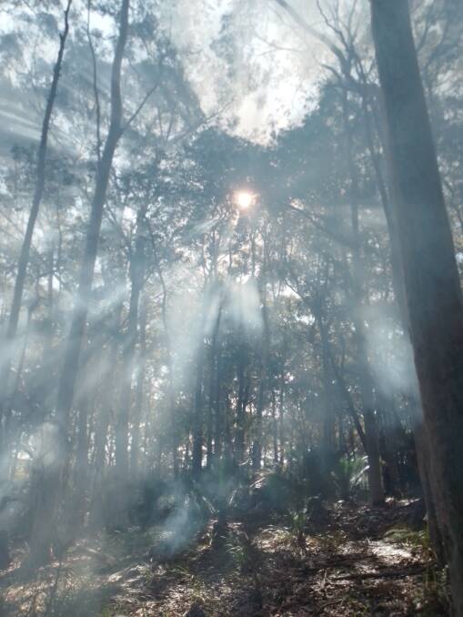 Smoke from cultural burns helps native species regenerate. Picture: supplied