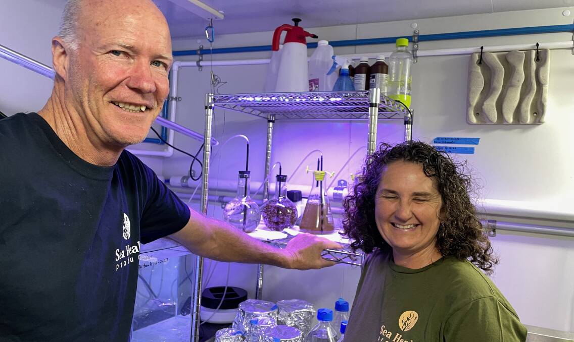Jo Lane of Sea Health Products and husband Warren Atkins in their temperature-controlled lab in Tilba Tilba.. Picture by Marion Williams