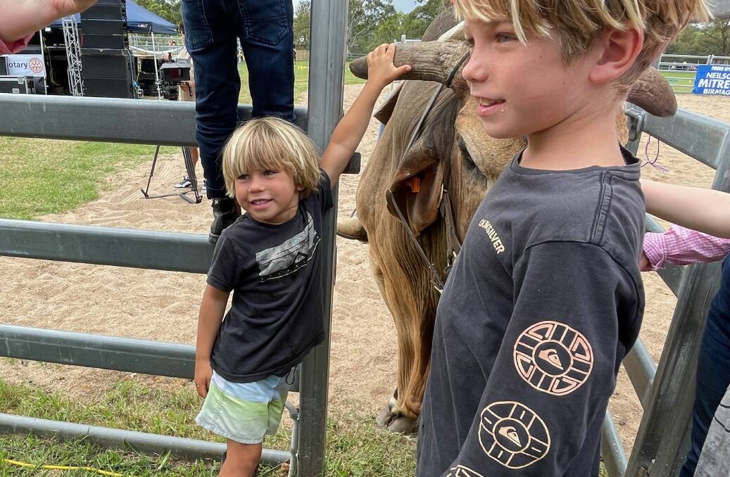 Children patting Barney, the 14-year-old Brahman, part of the Lachie Cosser Outback Show. Picture by Marion Williams