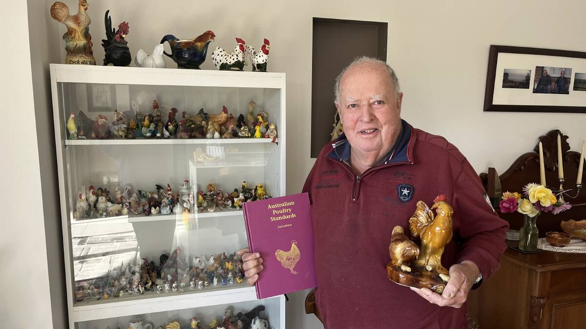 Peter Ubrihien holds what he called the 'bible of poultry judging' in his right, and his latest edition to his chicken figurine collection, in his left. Picture by James Parker